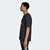 Picture of adidas Sportswear Future Icons Logo Graphic Tee