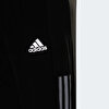 Picture of adidas Own The Run Astro Wind Pants
