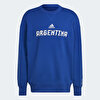 Picture of FIFA World Cup 2022™ Argentina Crew Sweatshirt